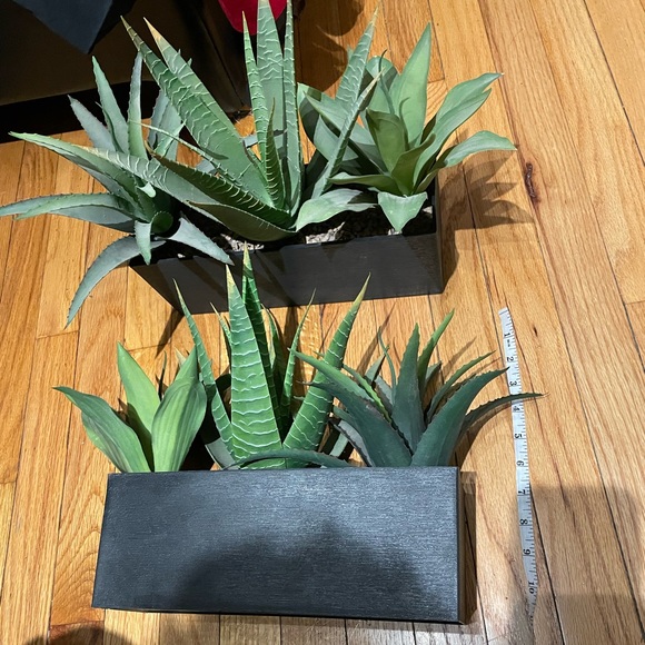 Bundle Lot Set 2 pc Artificial Framed Succulent Plant Rectangular Frame ALOE POT - Picture 2 of 5